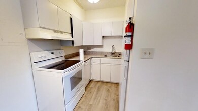 15 Arizona Terrace unit 4, Arlington, MA 02474 - photo 4