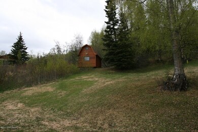 Back Yard (4)