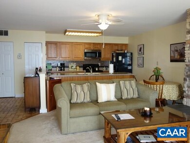 1513 Cliffs, Wintergreen Resort, VA 22967 - photo 3