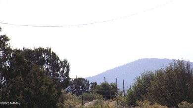 4620 S First Ave, Valle, AZ 86046 - photo 5