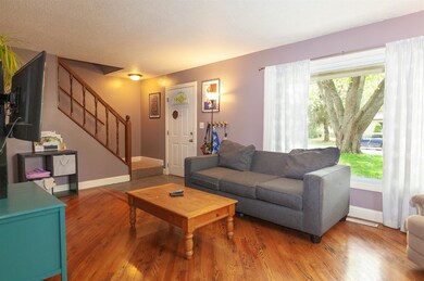 Photo 5