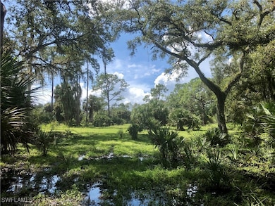 View of nature