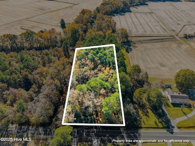 3278 Moye-Turnage Rd, Farmville, NC 27828 - photo 2