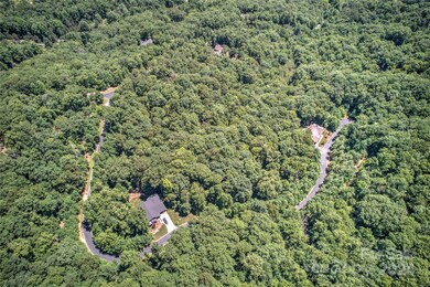 567 Shining Rock Path, Horse Shoe, NC 28742 - photo 7