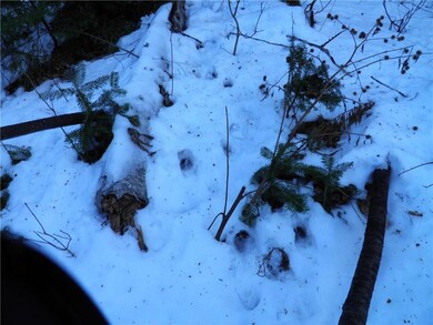 Maine Land for Sale in Island Falls,...