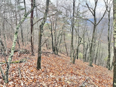 43 Highland Dr, White Sulphur Springs, WV 24986 - photo 6