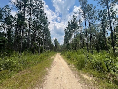 Old Meriwether Trail, Highland Home, AL 36041 - photo 2