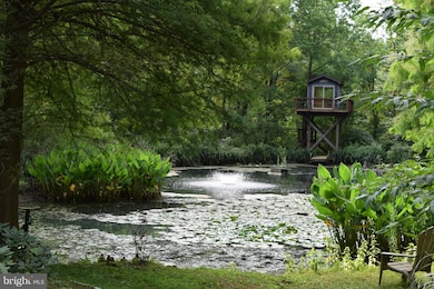 16311 Markoe Rd, Monkton, MD 21111 - photo 5