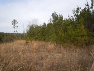Mollie Road Pics 001