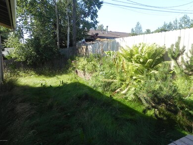 Back Yard Needs Love