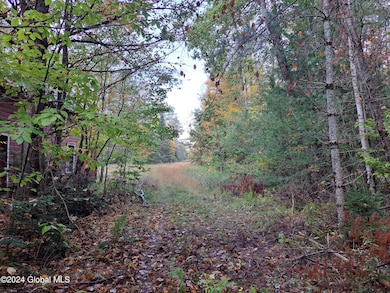 L9 Atateka Rd, Chester, NY 12817 - photo 5