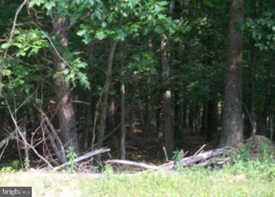 0 Posey Hollow unit WVMO116494, Berkeley Springs, WV 25411 - photo 4