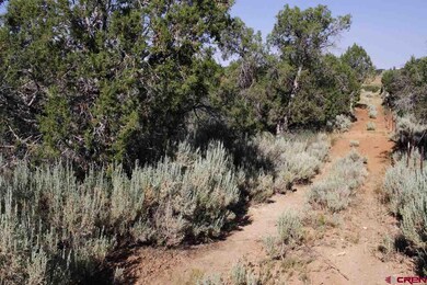 0 Road 22 unit 761013, Cortez, CO 81321 - photo 2