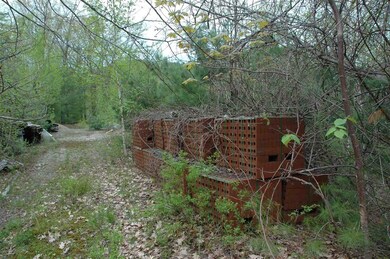 567 Red Hill Rd unit 4, Moultonborough, NH 03254 - photo 2