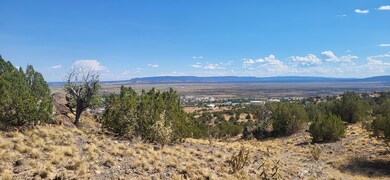 1215 Iron Ave, Grants, NM 87020 - photo 6