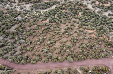 dji_fly_20240309_135010_263_171001748276