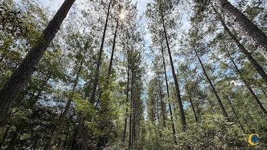 0 Peurifoy Rd unit 25512581, Walterboro, SC 29488 - photo 4