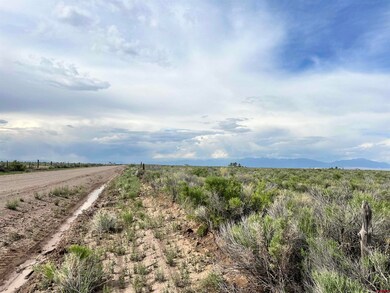 2477 County Road 111 S, Alamosa, CO 81101 - photo 6