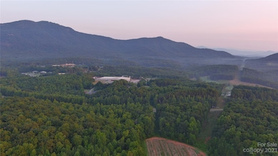 0 Fox Mountain Rd unit 5 CAR4066094, Columbus, NC 28722 - photo 4