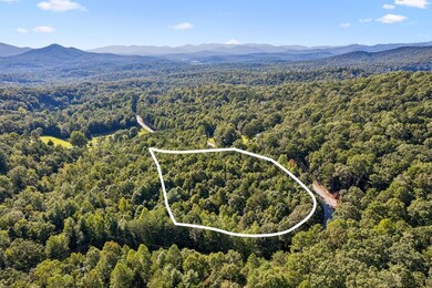 3.99 AC Sweetwater Dr, Clarkesville, GA 30523 - photo 6