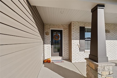 302 Carta Dr, Shiloh, IL 62221 - photo 2