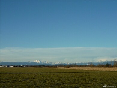 308 Park Dr, Everson, WA 98247 - photo 4