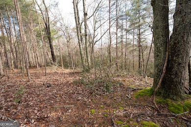 1 Amber Ct, Jasper, GA 30143 - photo 2