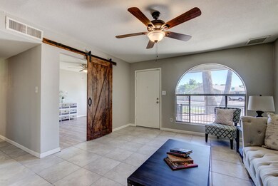 Trendy Barndoor!
