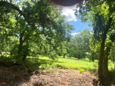 lot 3 County Road 799 SW, Brazoria, TX 77422 - photo 7