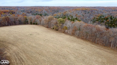 0000 Polston Ln, Hickory Grove Township, MO 63357 - photo 2