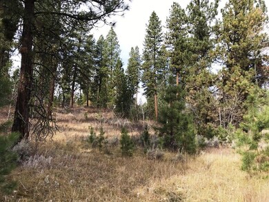 Hide in the Woods & Enjoy a Big View