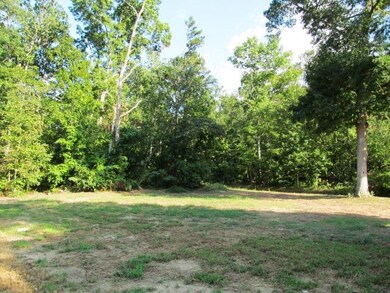 5439 Long Hollow Rd, Rock Spring, GA 30739 - photo 6