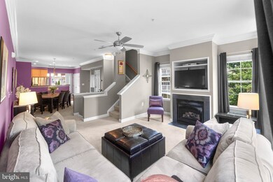 42528 Hollyhock Terrace, Ashburn, VA 20148 - photo 3