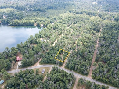 8532 1st St, Baldwin, MI 49304 - photo 5