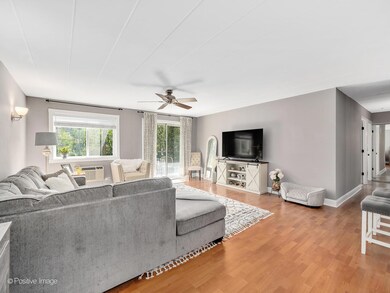 1052 N Mill St unit 206, Naperville, IL 60563 - photo 4