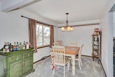 unlisted-address, Beecher, IL 60401 - photo 6