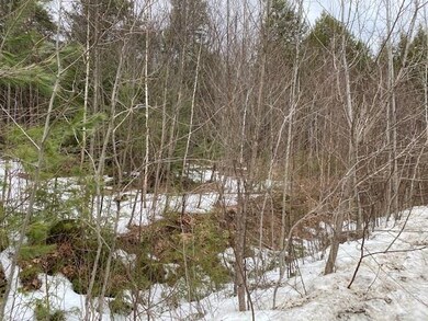 17 Nina Lee, Putney, VT 05346 - photo 4