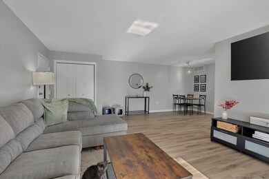 2 Birch Ct unit 2, Cromwell, CT 06416 - photo 3