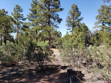4190 W Sugar Pine Loop