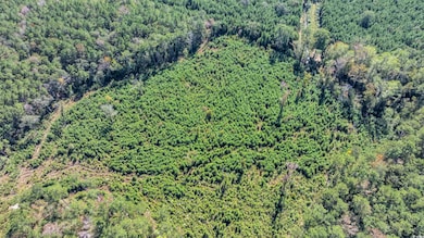 TBD Not Specified, Conway, SC 29526 - photo 5