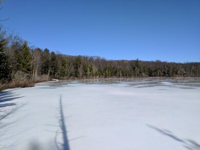 0 W Bass Lake Dr, Bitely, MI 49309 - photo 5