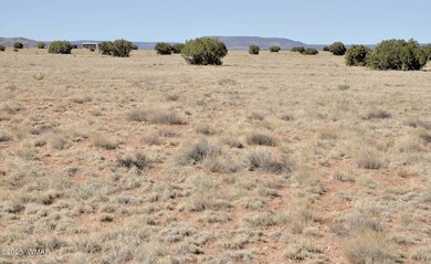 14 Cr 5525, Concho, AZ 85924 - photo 4