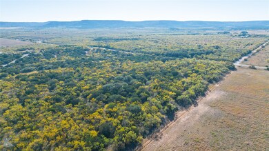 TBD 26 Acres Lytle Cove Rd, Abilene, TX 79602 - photo 4