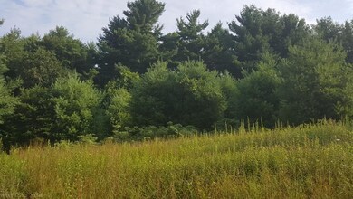 possible building site near road.
