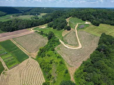 E2519 State Rd 29, Lucas Township, WI 54751 - photo 7