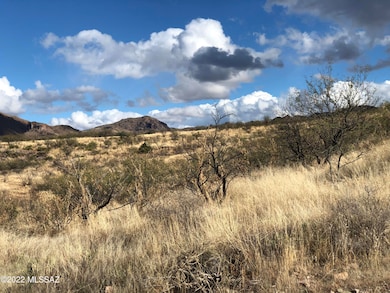 140 Canyon Pass Ct unit 96, Rio Rico, AZ 85648 - photo 5
