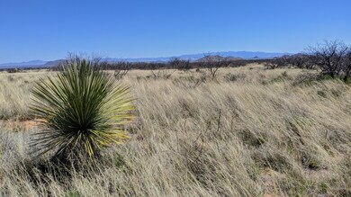 IMG_20200402_113242