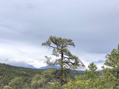 Mountain Views