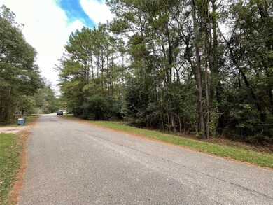 29714 Sweetwater St, Magnolia, TX 77354 - photo 6