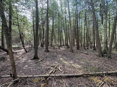 Block 28 Evergreen Rd, Egg Harbor, WI 54209 - photo 3